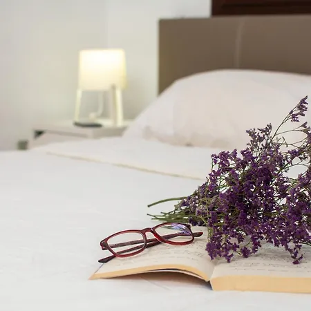 Boreas Paradise 코스타델실렌시오